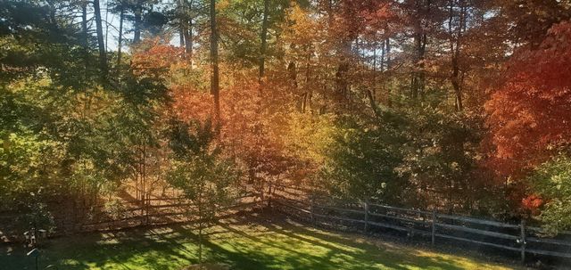 137 SHANLEYS LOOP, Ferrum, VA 24088