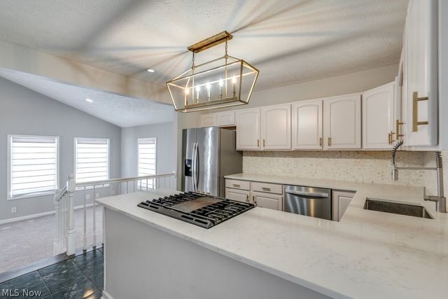 1229 Summit Drive, Mayfield Heights, OH 44124