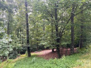 211 Tom Fazio Trace 342, Hendersonville, NC 28739