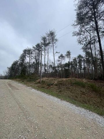 141 Pine Tree Circle, Nancy, KY 42544