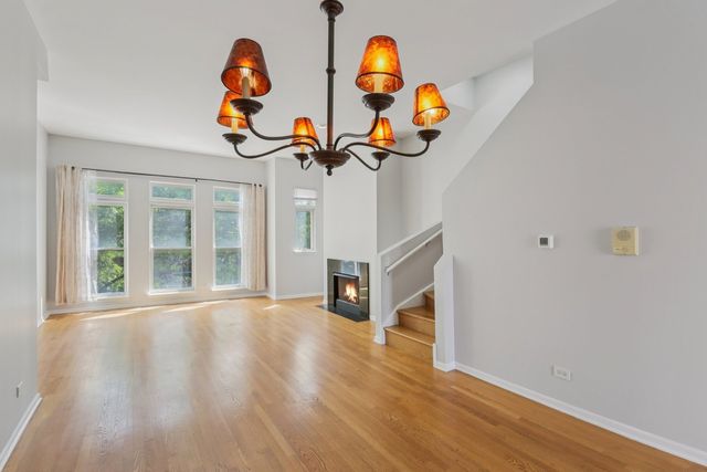 1512 S Halsted Street, Chicago, IL 60607