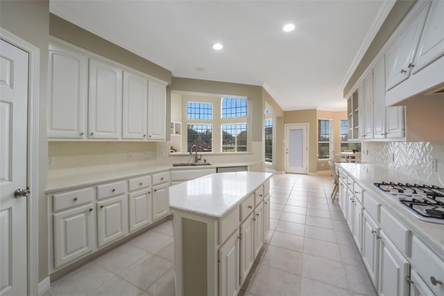 24403 Falcon Point Drive, Katy, TX 77494