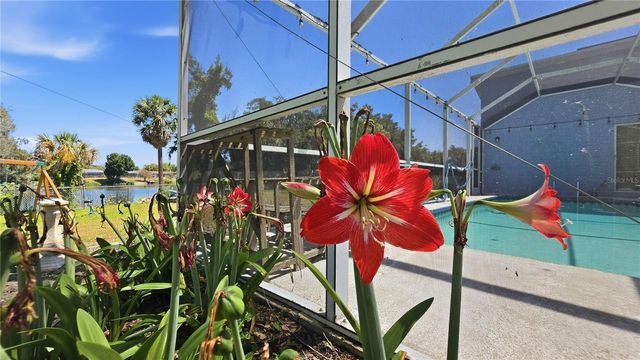 7203 BRAMBLEWOOD DRIVE, Port Richey, FL 34668