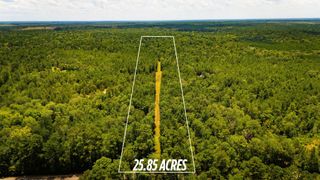 0000 Fm-942, Livingston, TX 77351