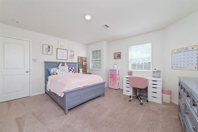 20707 Solstice Point Drive, Hockley, TX 77447