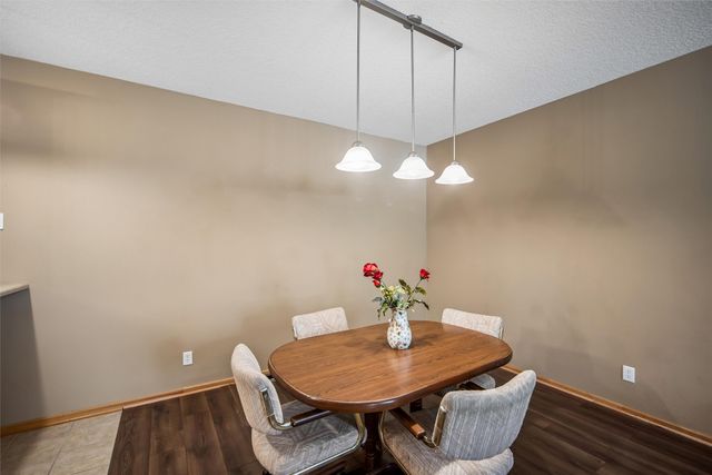 1134 SE Birch Lane, Ankeny, IA 50021