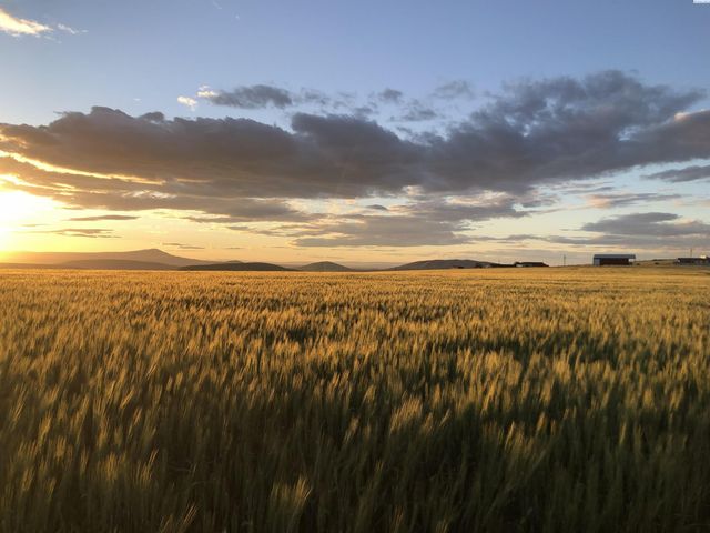 41213 S Clodfelter Rd, Kennewick, WA 99338