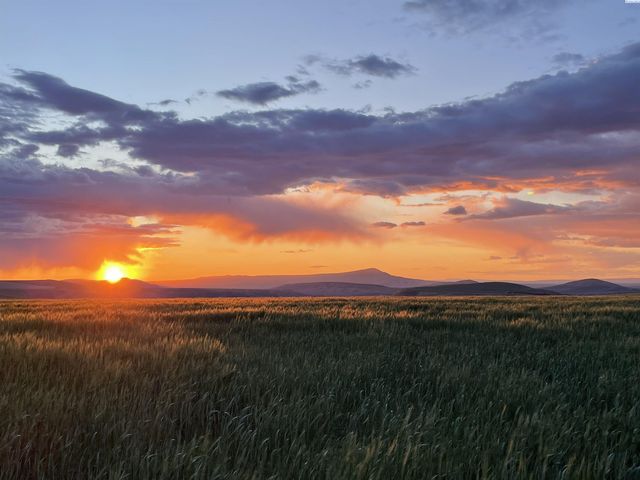 41213 S Clodfelter Rd, Kennewick, WA 99338