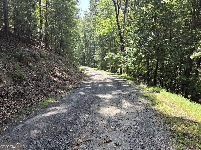 686 Anderson Lane NE, Ranger, GA 30734