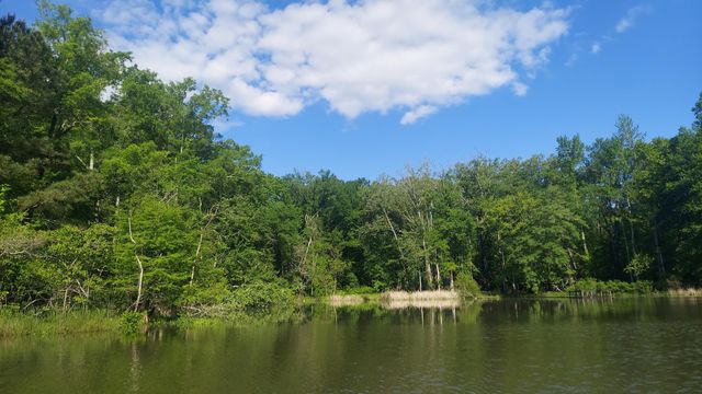 45 Warren Lane, Decatur, TN 37322
