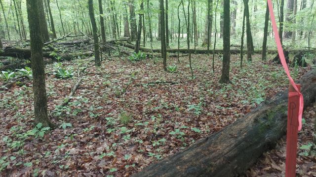 45 Warren Lane, Decatur, TN 37322