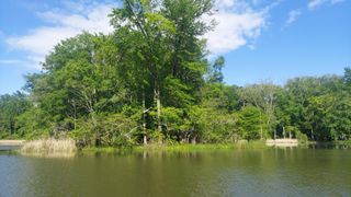 45 Warren Lane, Decatur, TN 37322