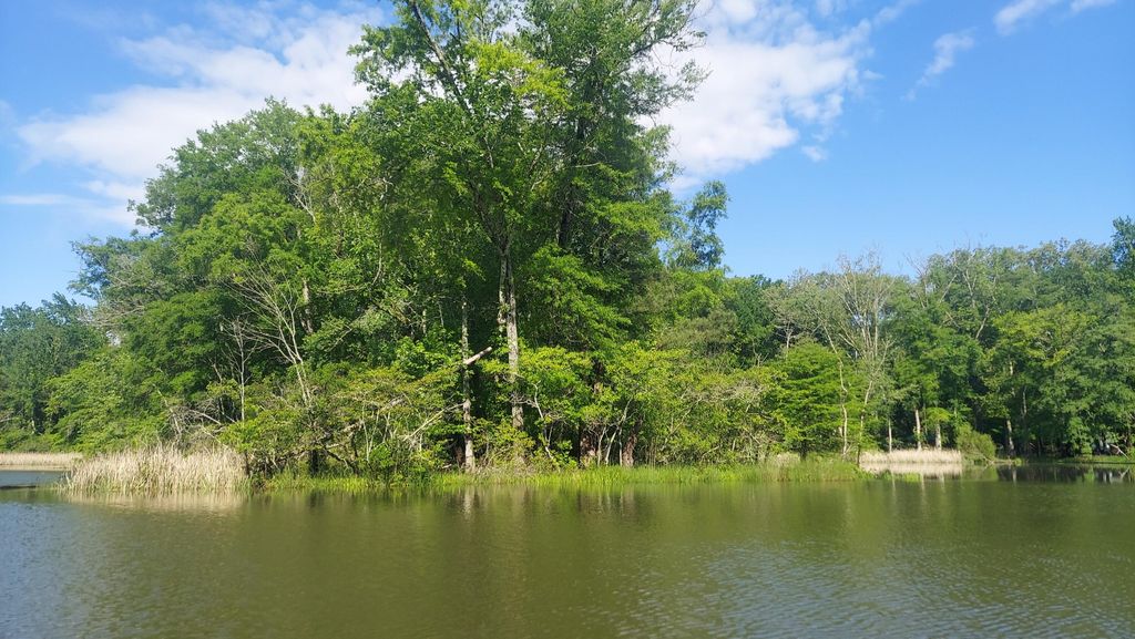 45 Warren Lane, Decatur, TN 37322