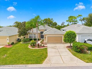 9233 Penelope Drive, Weeki Wachee, FL 34613