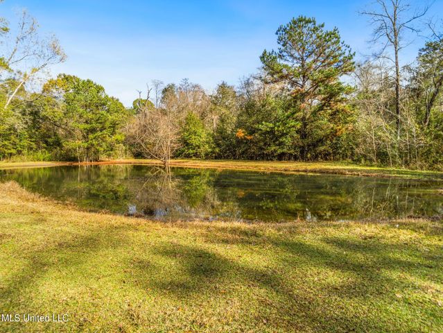 15804 Peapatch Road, Biloxi, MS 39532