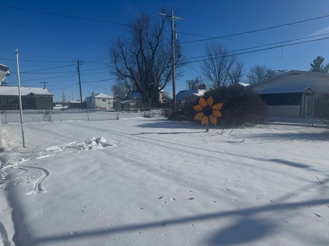 602 E Webster Street, Clinton, IL 61727