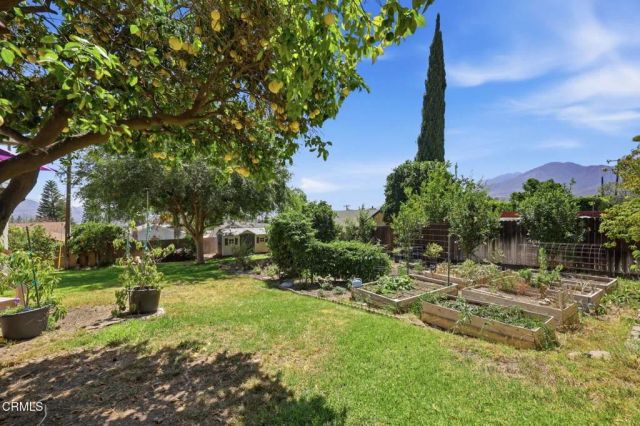379 Foothill Drive, Fillmore, CA 93015