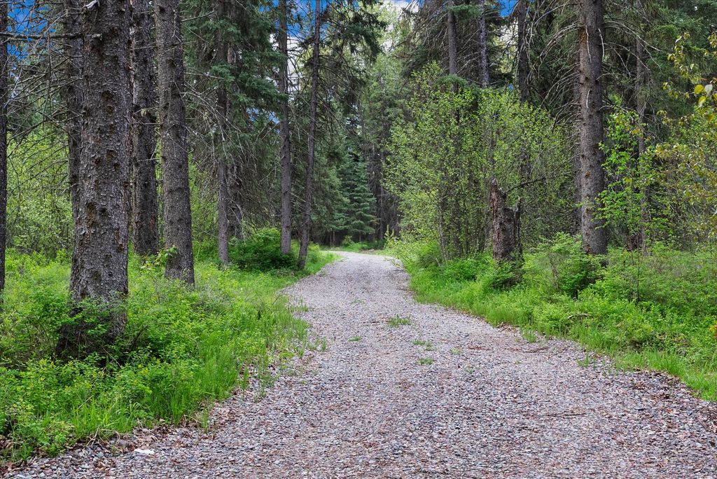 22585 Fatty Creek Road, Bigfork, MT 59911 photo 12