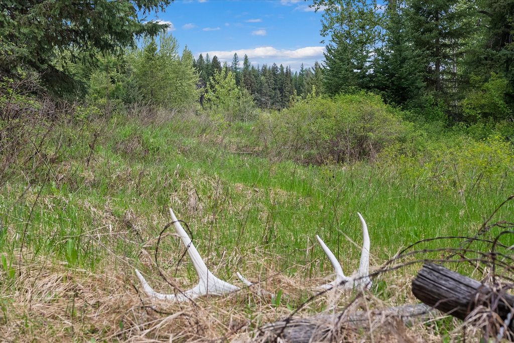 22585 Fatty Creek Road, Bigfork, MT 59911 photo 14