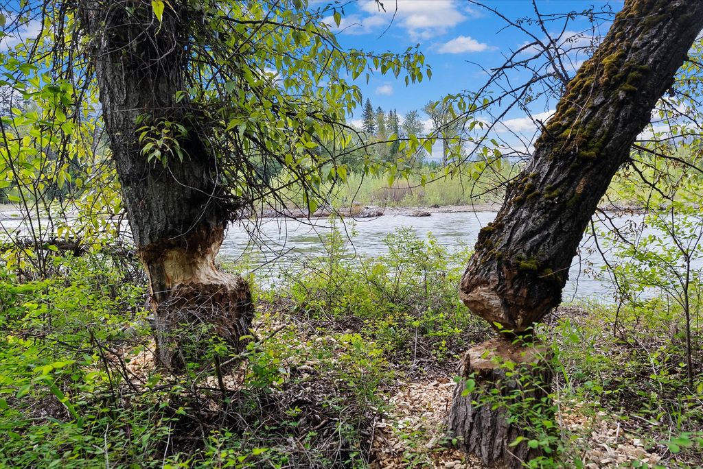 22585 Fatty Creek Road, Bigfork, MT 59911 photo 26