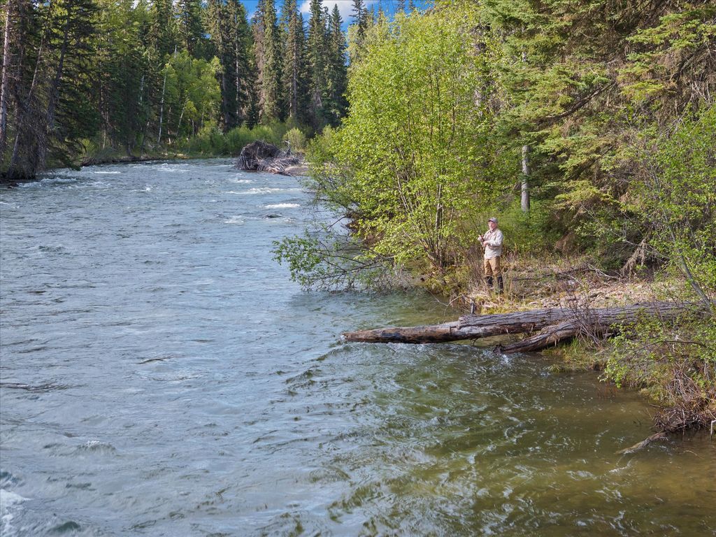 22585 Fatty Creek Road, Bigfork, MT 59911 photo 27