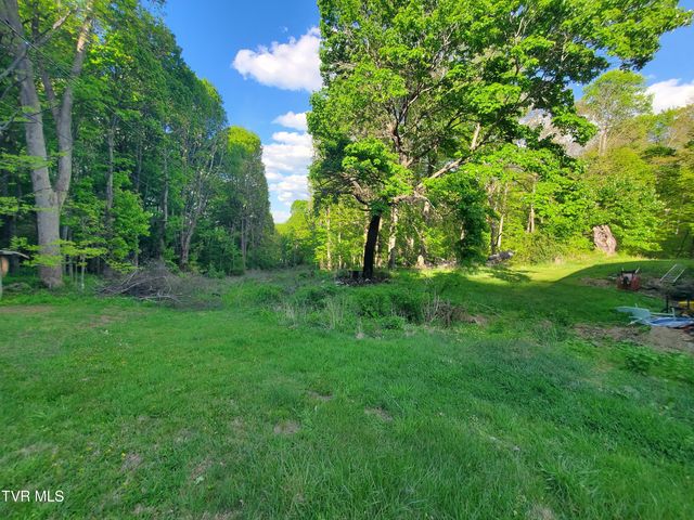 190 Big Cove Creek Road, Roan Mountain, TN 37687