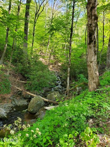 190 Big Cove Creek Road, Roan Mountain, TN 37687
