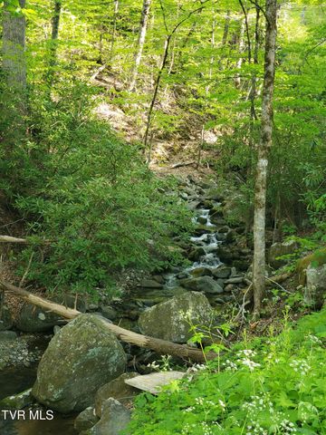190 Big Cove Creek Road, Roan Mountain, TN 37687