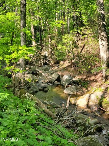190 Big Cove Creek Road, Roan Mountain, TN 37687