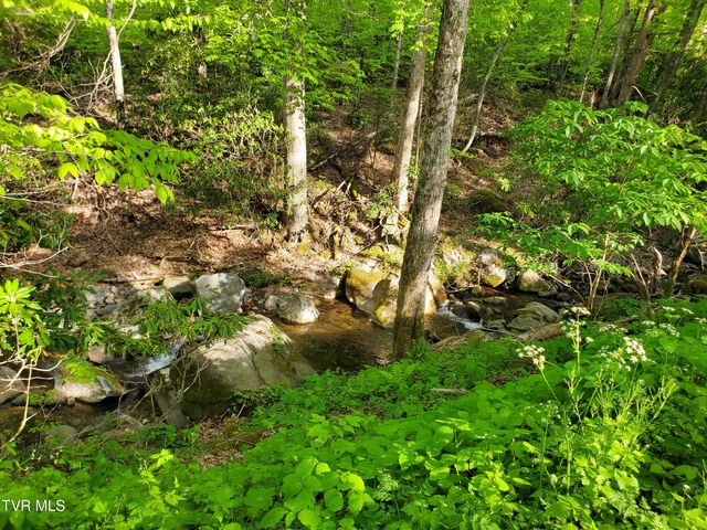 190 Big Cove Creek Road, Roan Mountain, TN 37687