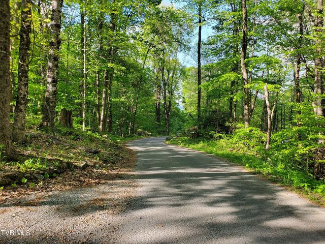 190 Big Cove Creek Road, Roan Mountain, TN 37687