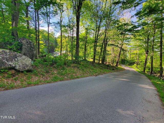 190 Big Cove Creek Road, Roan Mountain, TN 37687