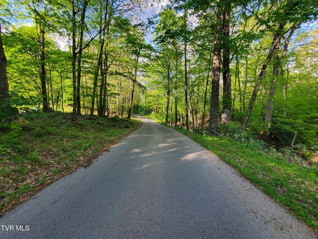 190 Big Cove Creek Road, Roan Mountain, TN 37687