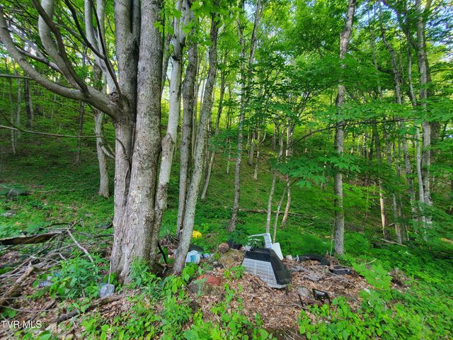 190 Big Cove Creek Road, Roan Mountain, TN 37687