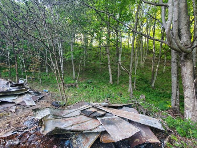 190 Big Cove Creek Road, Roan Mountain, TN 37687
