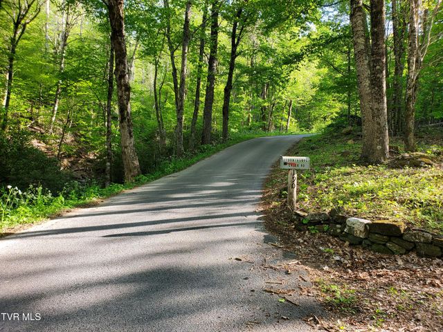 190 Big Cove Creek Road, Roan Mountain, TN 37687