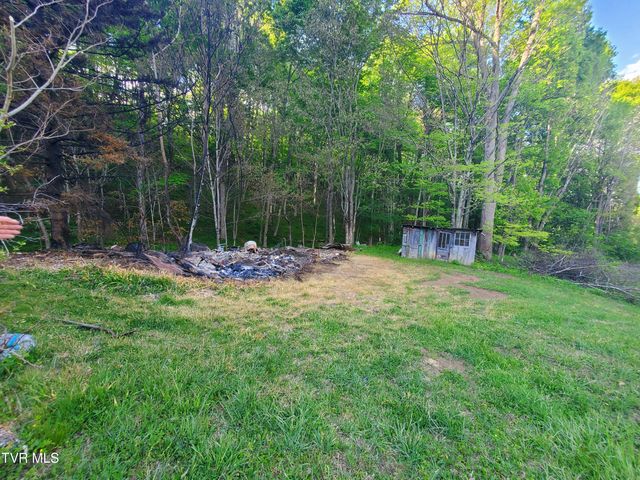 190 Big Cove Creek Road, Roan Mountain, TN 37687