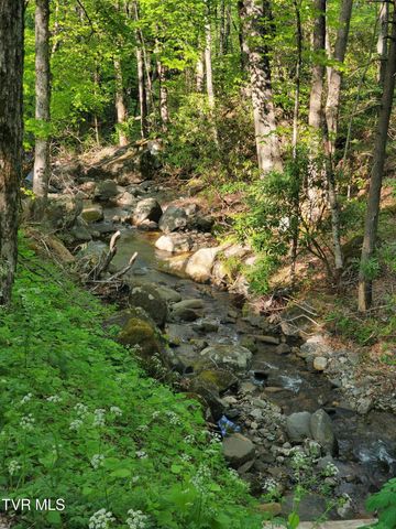 190 Big Cove Creek Road, Roan Mountain, TN 37687
