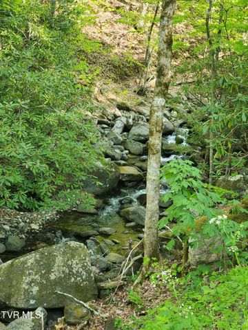190 Big Cove Creek Road, Roan Mountain, TN 37687