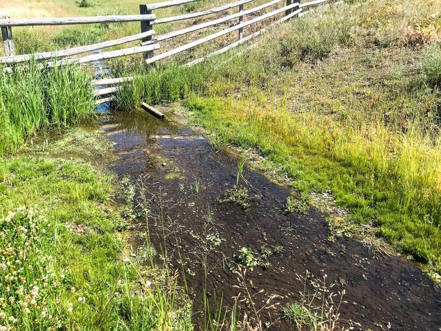 TBD Upper Deep Creek, Townsend, MT 59644