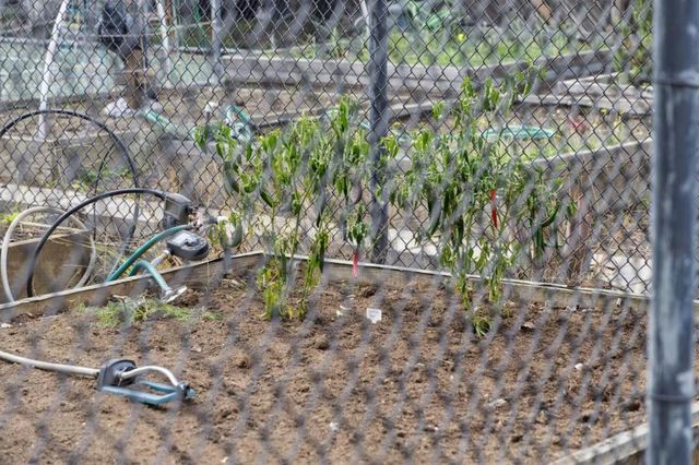 1016 Shoreline Drive, San Mateo, CA 94404