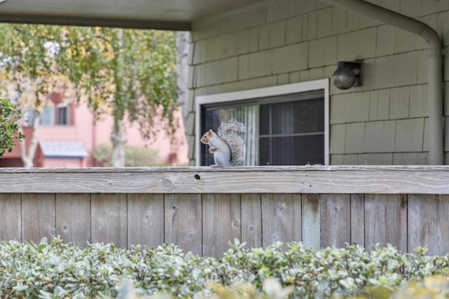 1016 Shoreline Drive, San Mateo, CA 94404