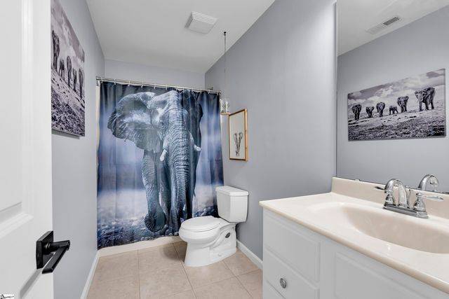 163 Healy Lane, Marietta, SC 29661