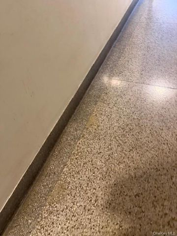 167-10 Crocheron Avenue 4D, Flushing, NY 11358