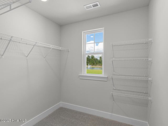 4229 Allsbrook Lane Unit 1060, Leland, NC 28451