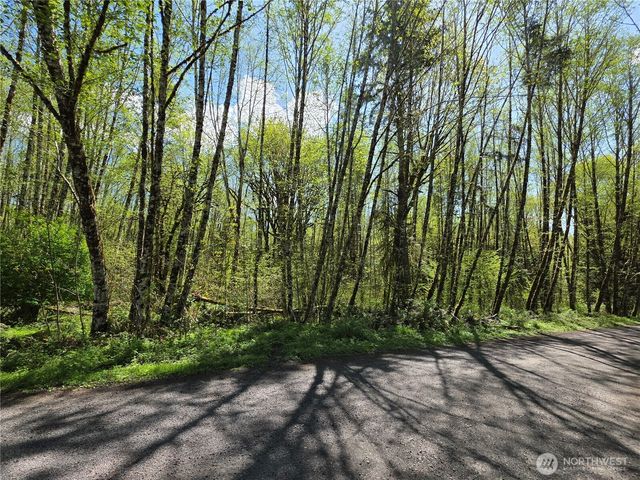 0 Mill Falls Lane, Longview, WA 98632