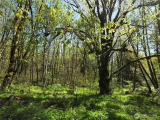 0 Mill Falls Lane, Longview, WA 98632