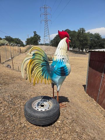 2659 Danaher Dr, Valley Springs, CA 95252