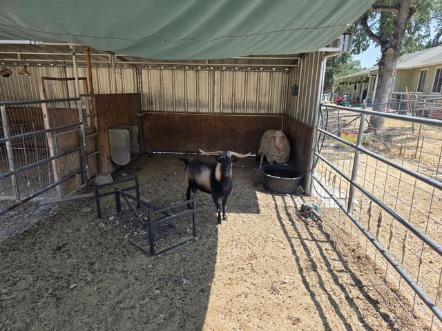 2659 Danaher Dr, Valley Springs, CA 95252