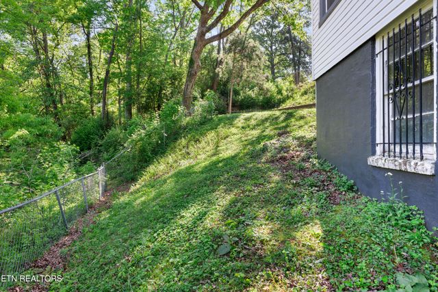 1132 Biddle St, Knoxville, TN 37914